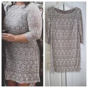 Lace Overlay Dress - 14 Bridal Shower, Mother of the Bride